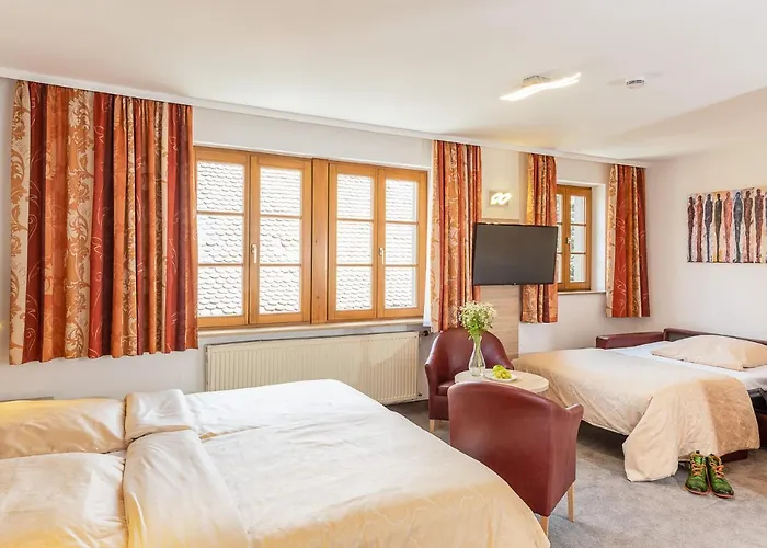 Altes Brauhaus Garni Hotel 4*
