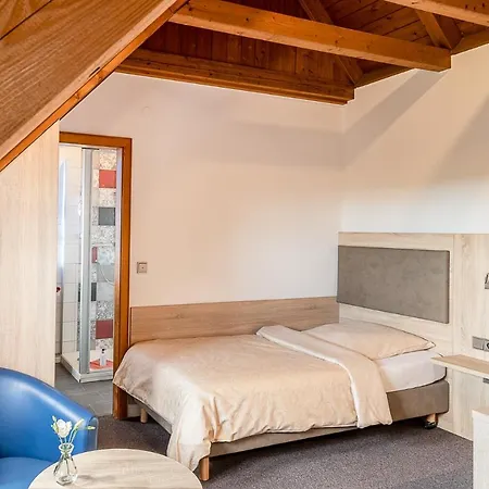 ホテル Altes Brauhaus Garni 4*